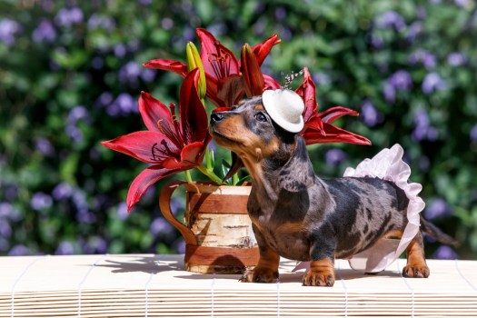 09C475A8-1F5E-4DF8-8EF2-E53D121451A5