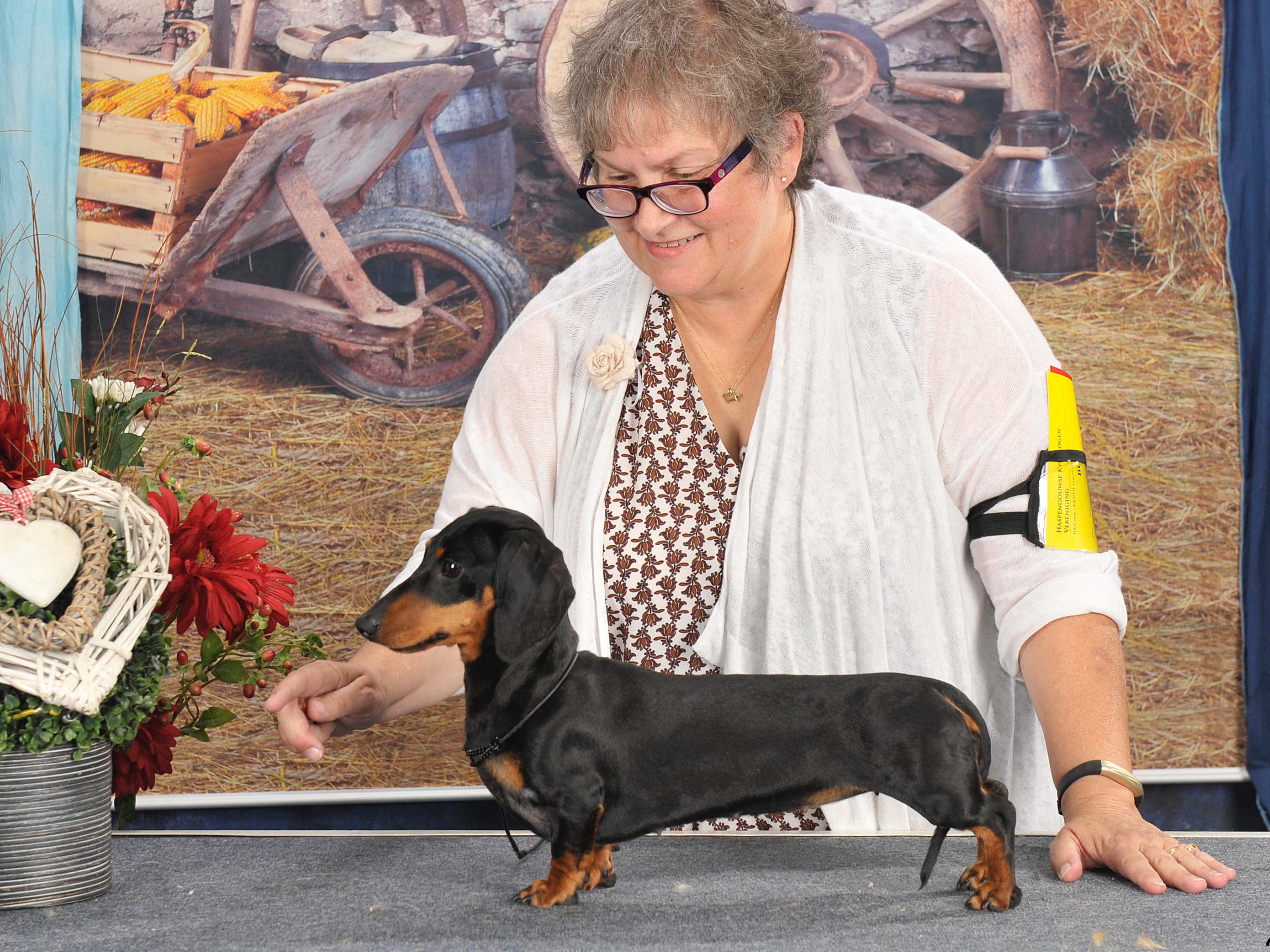 88C3E862-C486-44E5-BB68-B62071409DA3