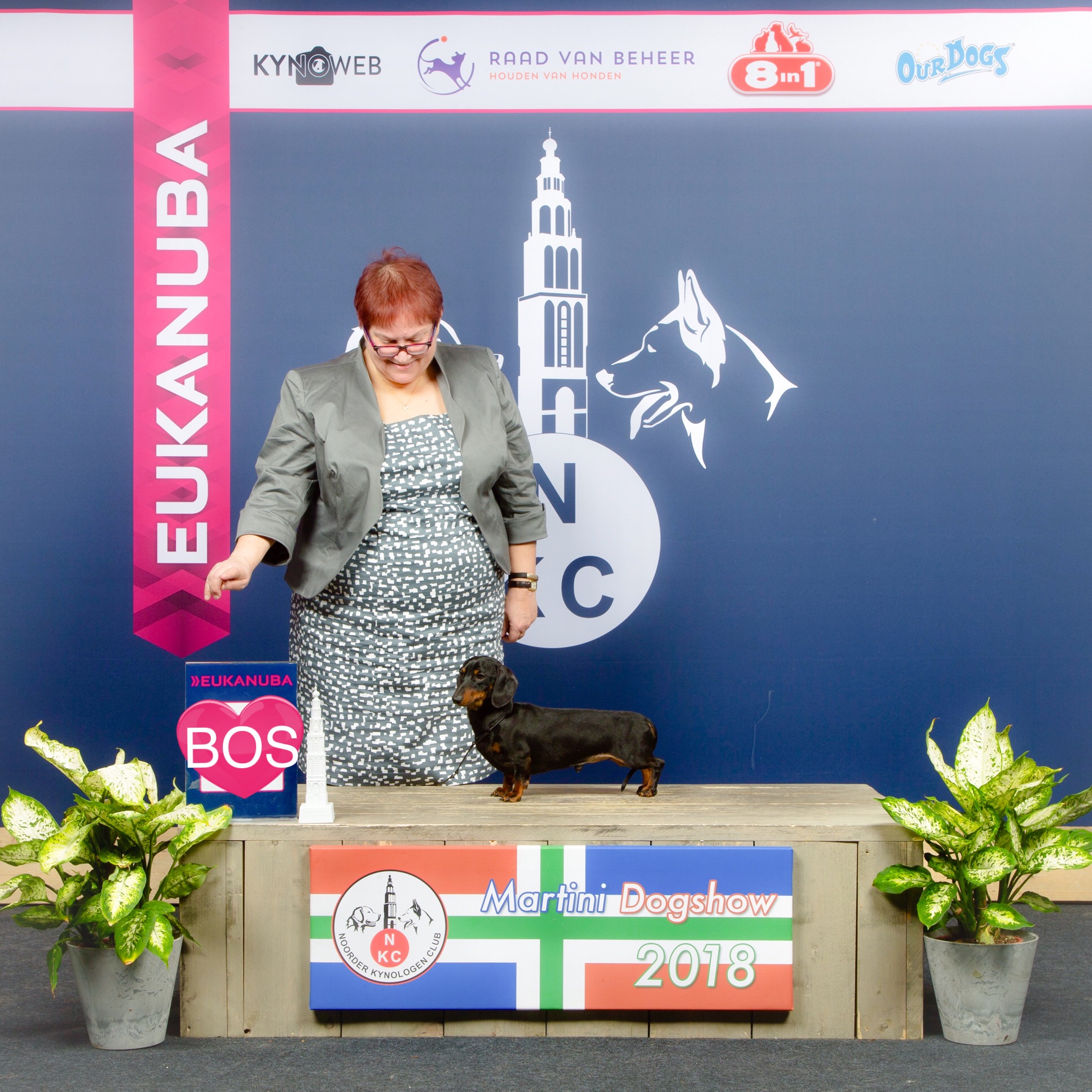 8F33CF6A-918C-48C2-ACB4-E4B014AEADD5