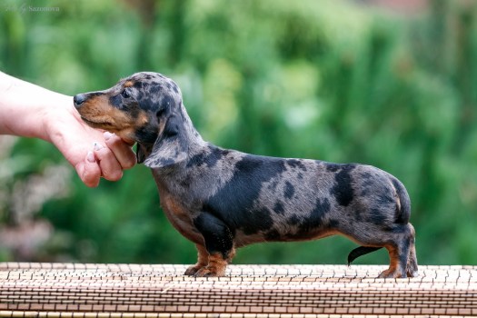 C74ABB8E-148F-4B16-AC85-5BA59B01349E