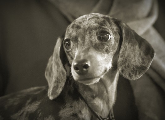 C86A5FF8-BF81-4547-A0AD-D915855BCAD6