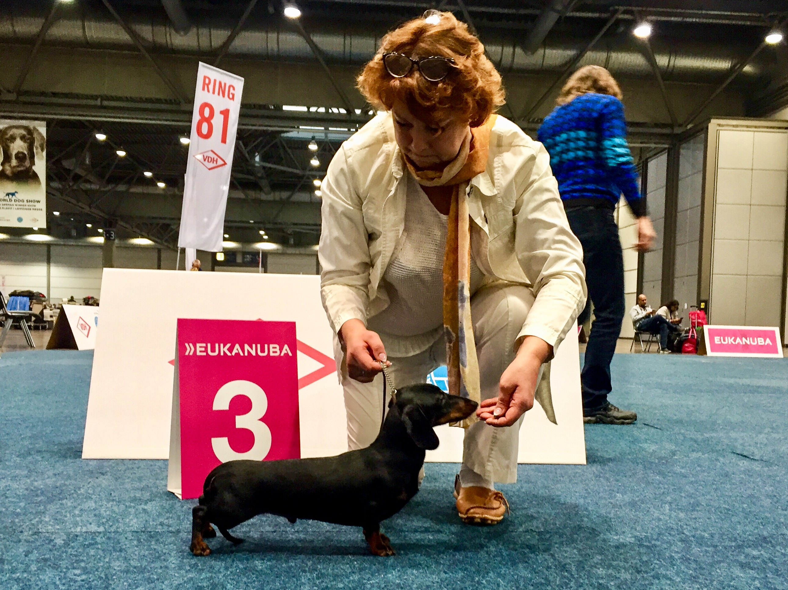 DA45E4E3-8D89-453E-8856-B542486462EE