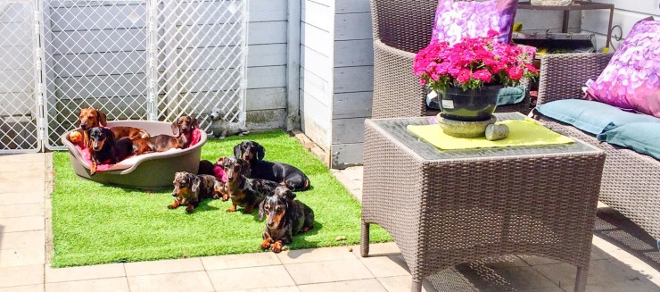 DC088CCF-0B29-45B4-A0CD-74A8BCA3813A