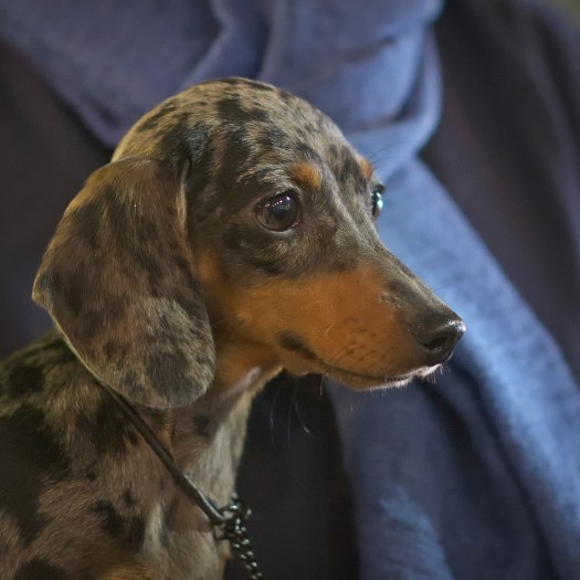 E5EB8778-BBDC-4766-8D24-7544EECA3ACD