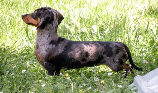 1E3B5C31-47B3-4DF4-A78C-55345A3AF14C